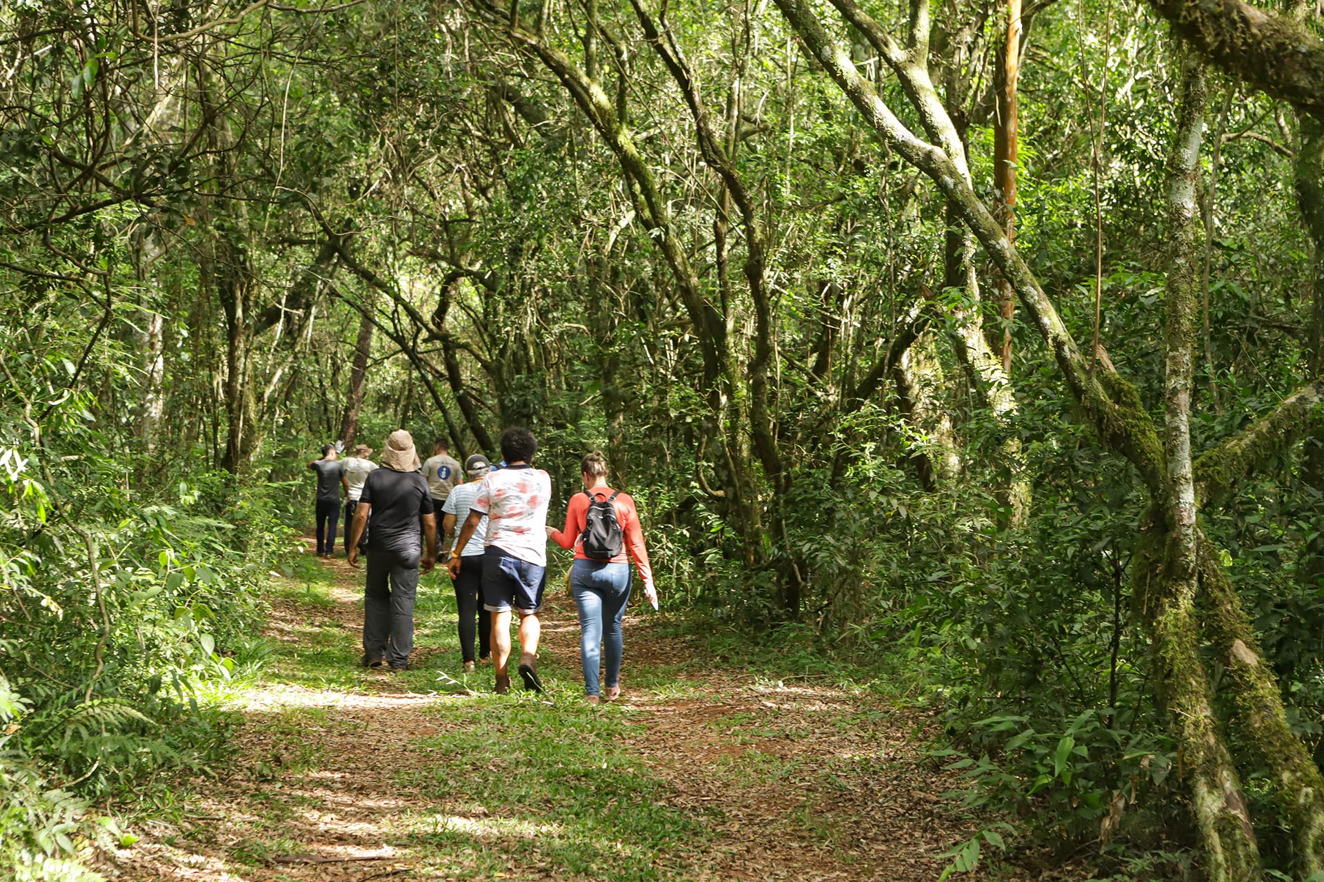 Caminhos do Peabiru: oficinas nos municípios vão mapear a rota turística
