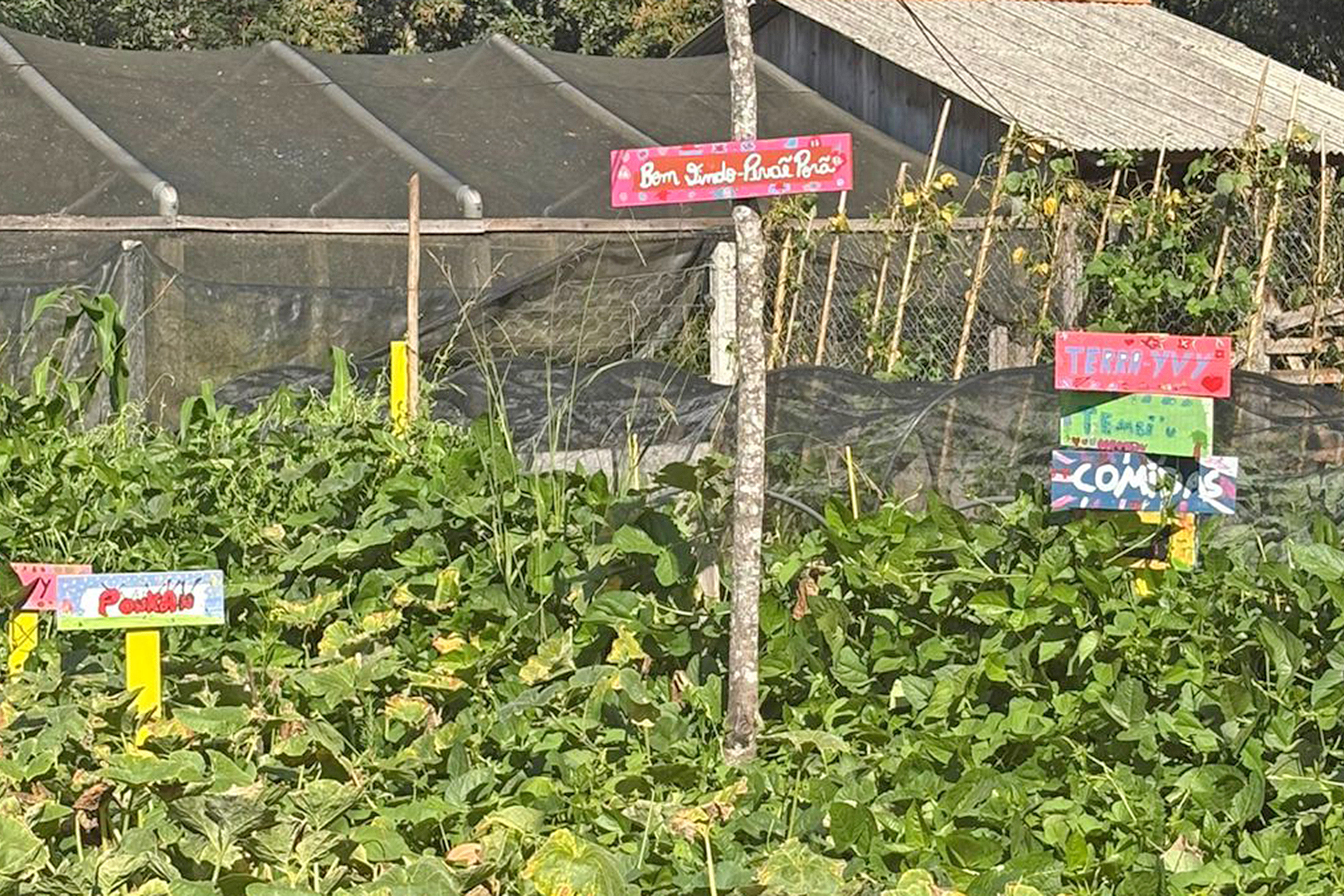 Estado avança no Caminhos do Peabiru com consulta e georreferenciamento